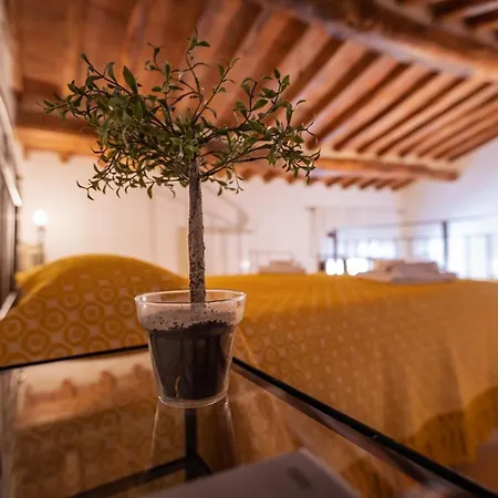 Ospitalita Diffusa - Il Fienile Di Lepanto Holiday home *
